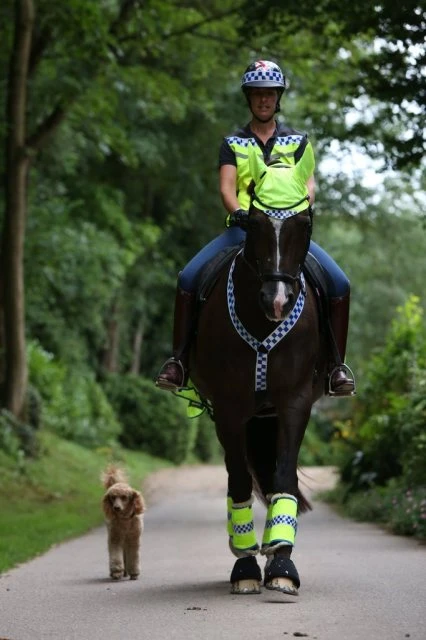 EquiSafety Polite Leg Boots - Image 2