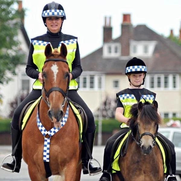 EquiSafety Polite Waistcoat - Image 4