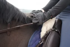 Cameo Equine Competition Gloves